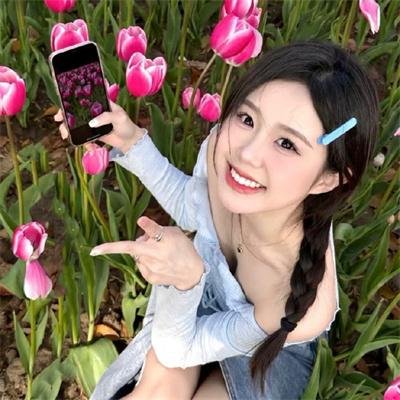 寻找第三颗星