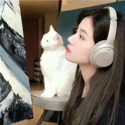 家事提案